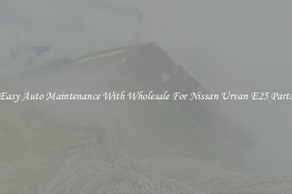 Easy Auto Maintenance With Wholesale For Nissan Urvan E25 Parts