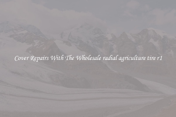  Cover Repairs With The Wholesale radial agriculture tire r1 