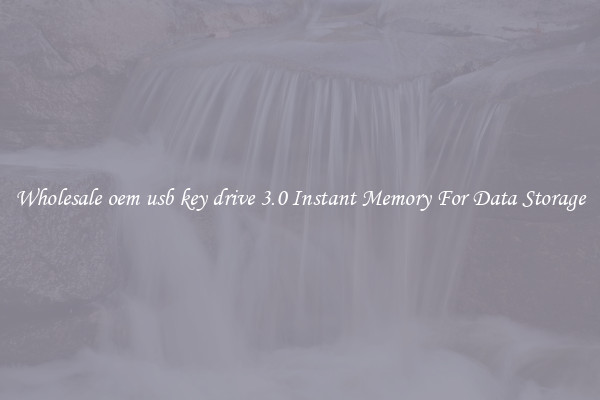 Wholesale oem usb key drive 3.0 Instant Memory For Data Storage