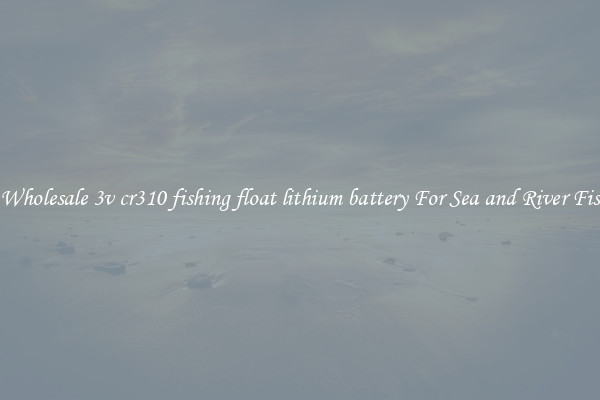 Get Wholesale 3v cr310 fishing float lithium battery For Sea and River Fishing