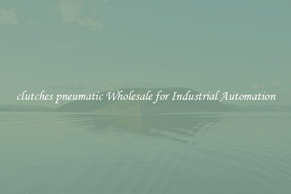  clutches pneumatic Wholesale for Industrial Automation 