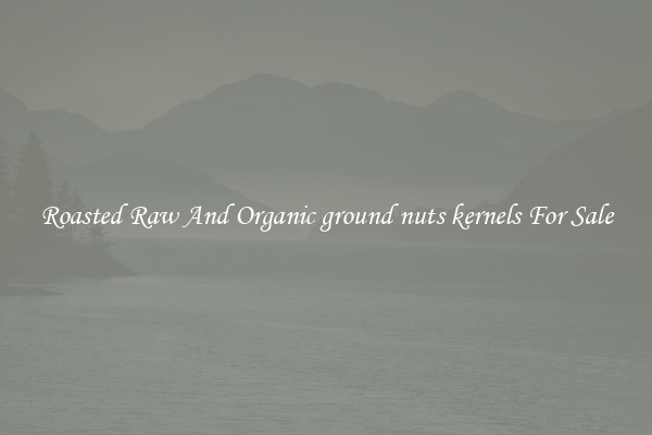 Roasted Raw And Organic ground nuts kernels For Sale