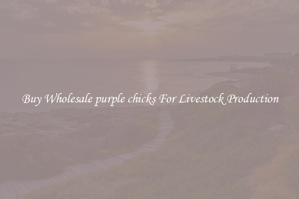 Buy Wholesale purple chicks For Livestock Production