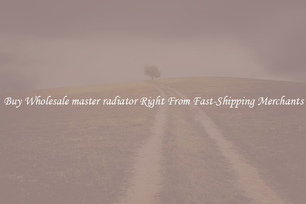 Buy Wholesale master radiator Right From Fast-Shipping Merchants
