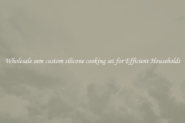 Wholesale oem custom silicone cooking set for Efficient Households
