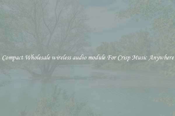 Compact Wholesale wireless audio module For Crisp Music Anywhere