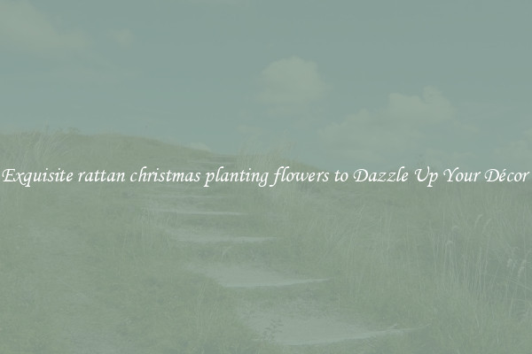 Exquisite rattan christmas planting flowers to Dazzle Up Your Décor 