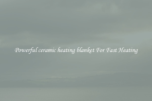 Powerful ceramic heating blanket For Fast Heating