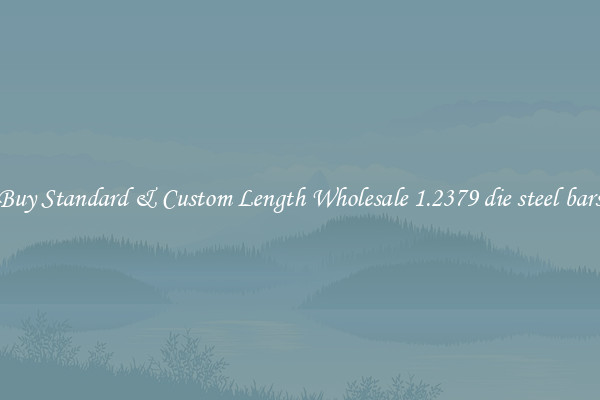 Buy Standard & Custom Length Wholesale 1.2379 die steel bars
