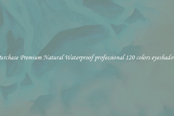 Purchase Premium Natural Waterproof professional 120 colors eyeshadow