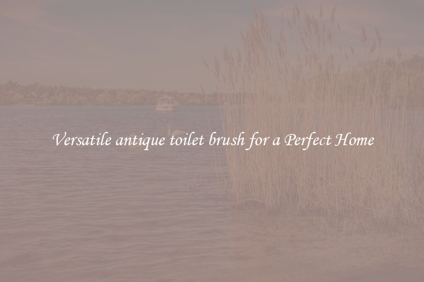 Versatile antique toilet brush for a Perfect Home